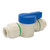 Whale Ball Valve - Quick Connect 15