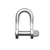 Ronstan Stainless Steel D Shackle, 5/16" Pin, Coined Head