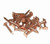 Copper Sheathing Clouts 32mm (1-1/4") Copper Sheathing Clouts 32mm (1-1/4")
