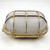 Brass Caged Light