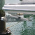 SARCA Excel Stainless Steel Anchor