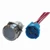 Viper Stainless Steel Dual LED Switch 20A