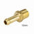 Hose Tail Brass Straight 1/4\" BSPTM