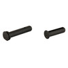 Radian Weapons AR-15 Take Down Pins One Set Black