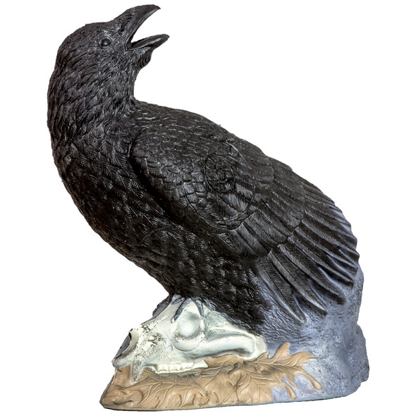 Rinehart Raven Target