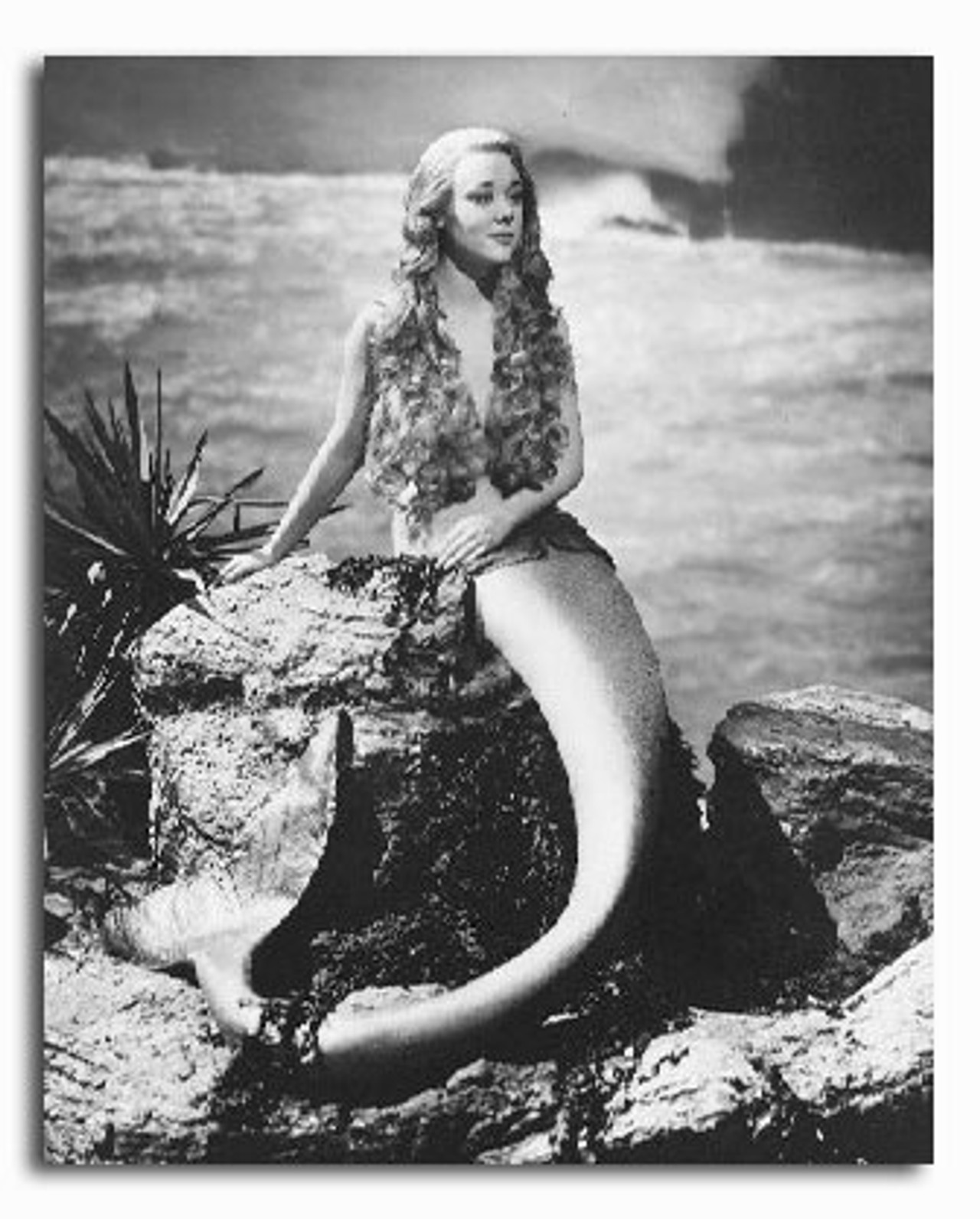 (SS2225509) Movie picture of Glynis Johns buy celebrity photos and