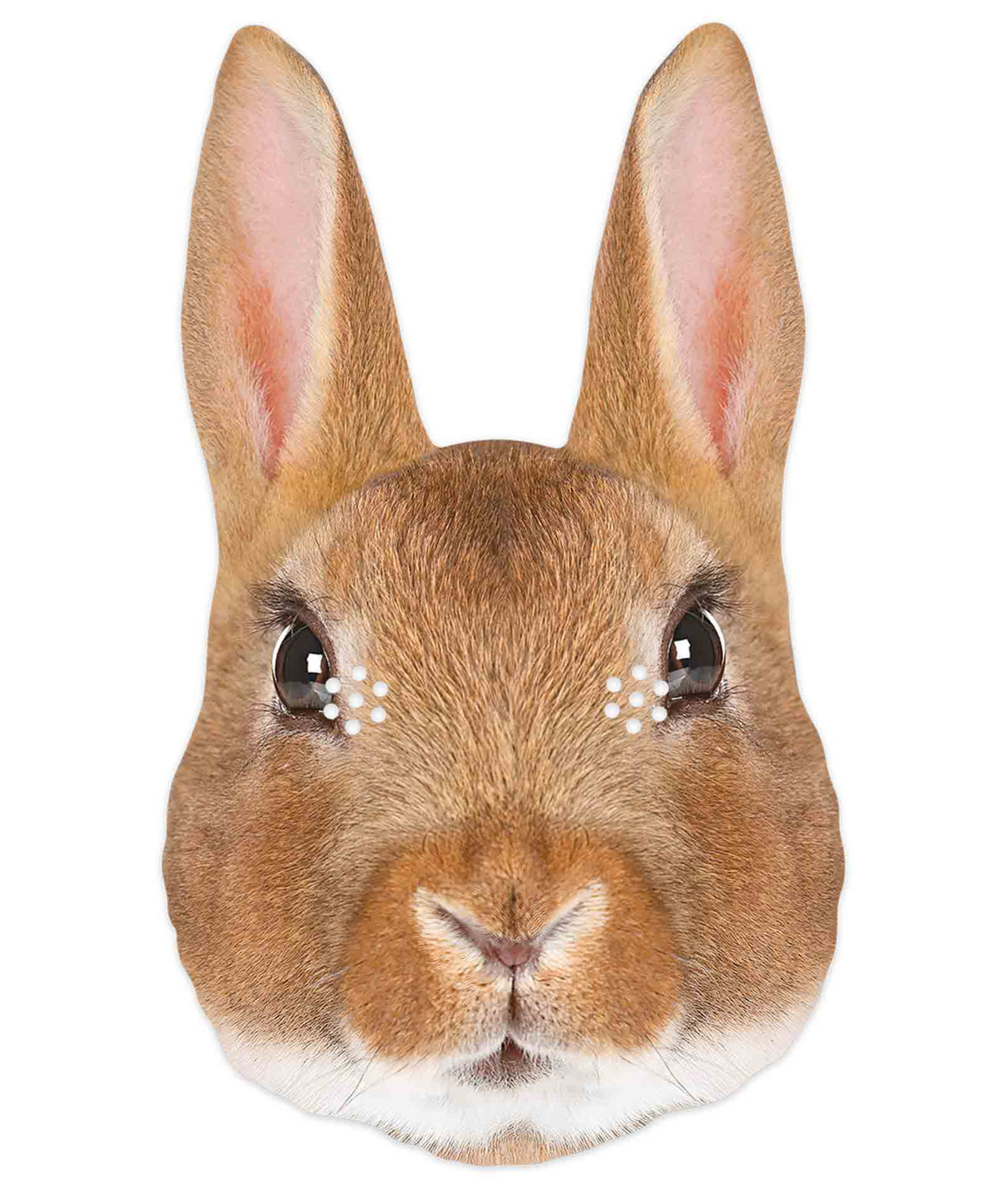 Rabbit 2D Animal Single Card Party Mask