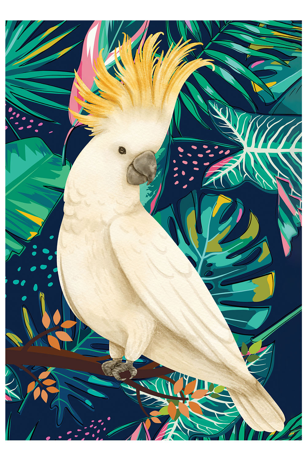 Tropische Vogels Gemengde Selectie Dubbelzijdige Posters 6-Pack