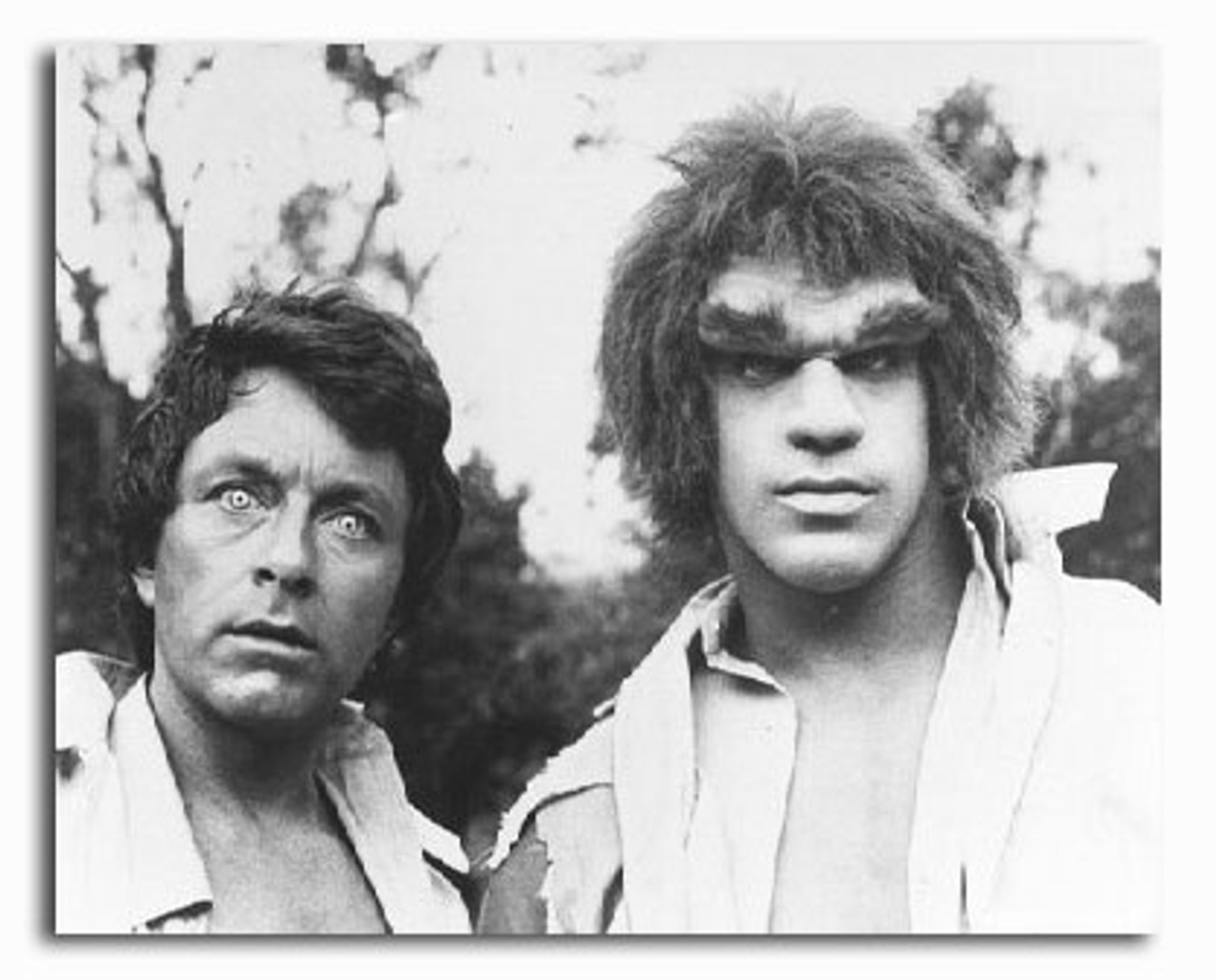 Bill Bixby as Dr David Banner The Incredible Hulk Poster