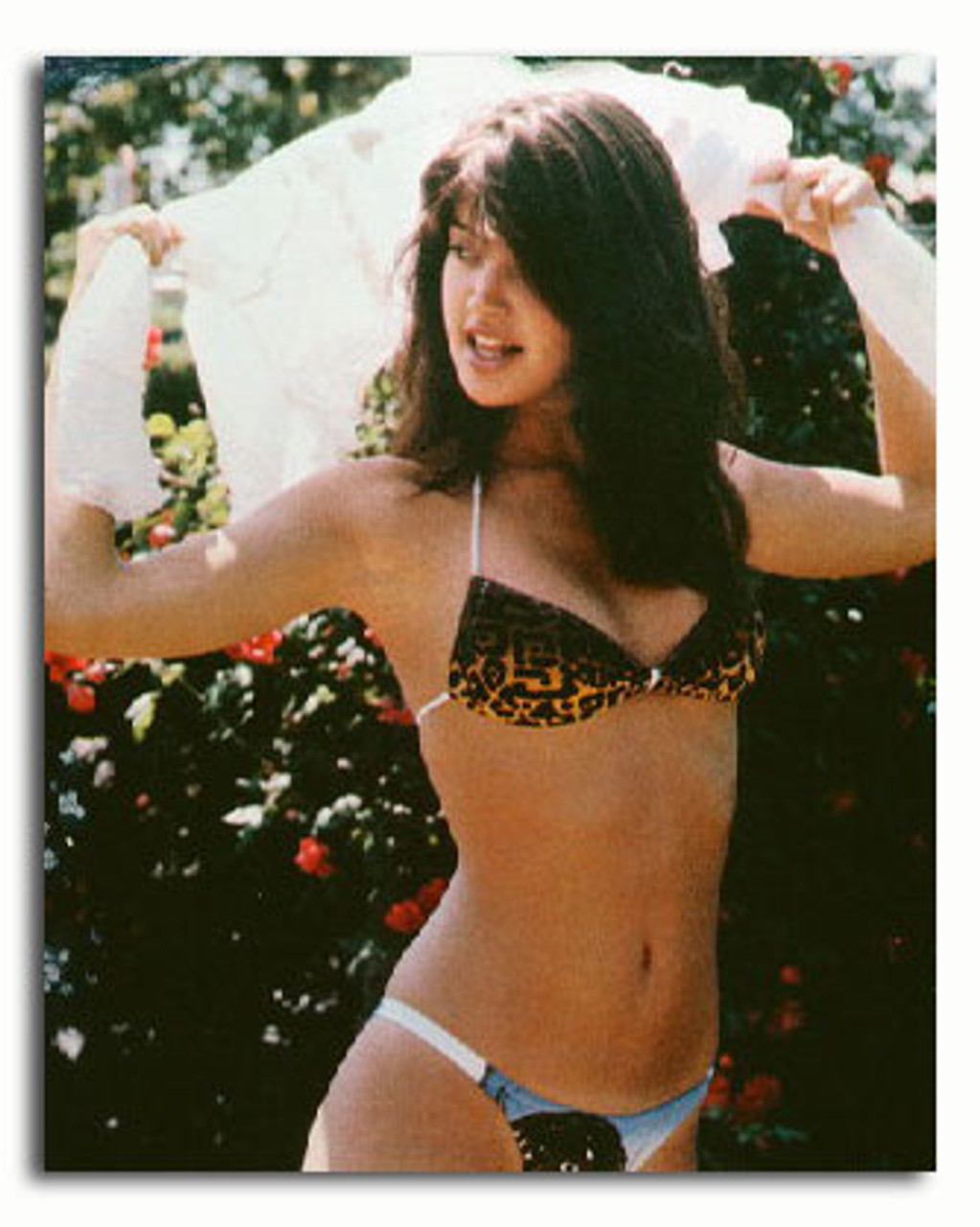 phoebe cates movies and tv shows