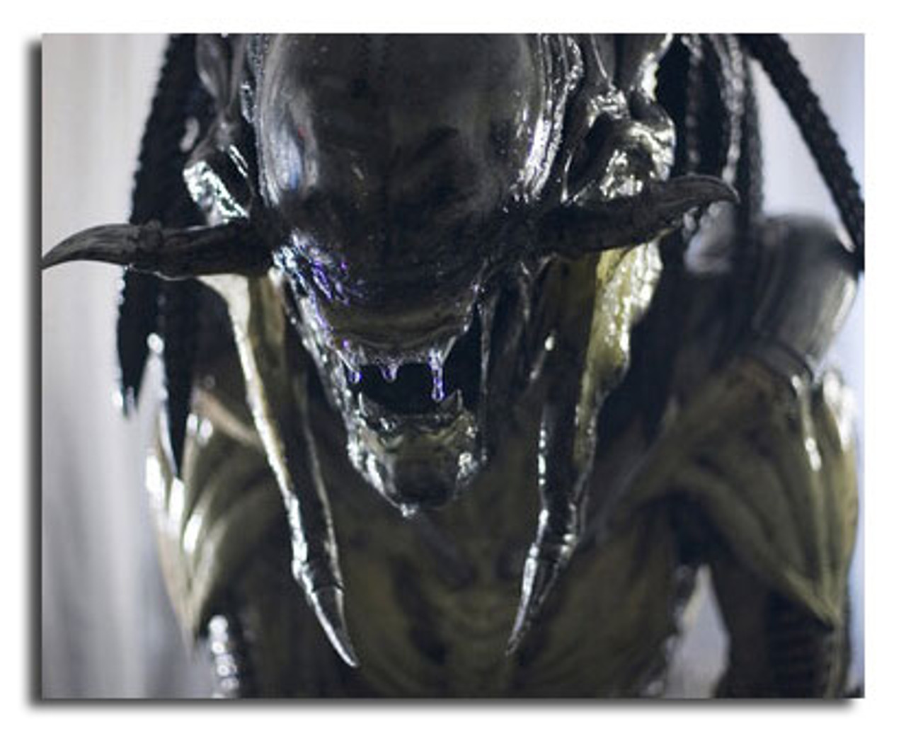 Movie Aliens Vs. Predator: Requiem HD Wallpaper