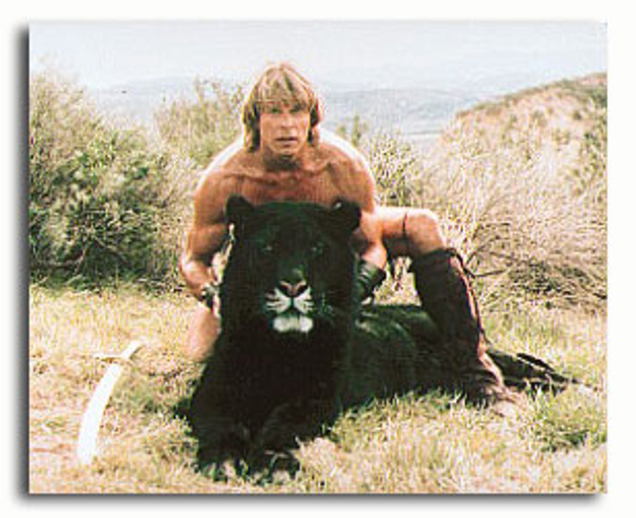 (SS3287856) Marc Singer The Beastmaster Movie Photo