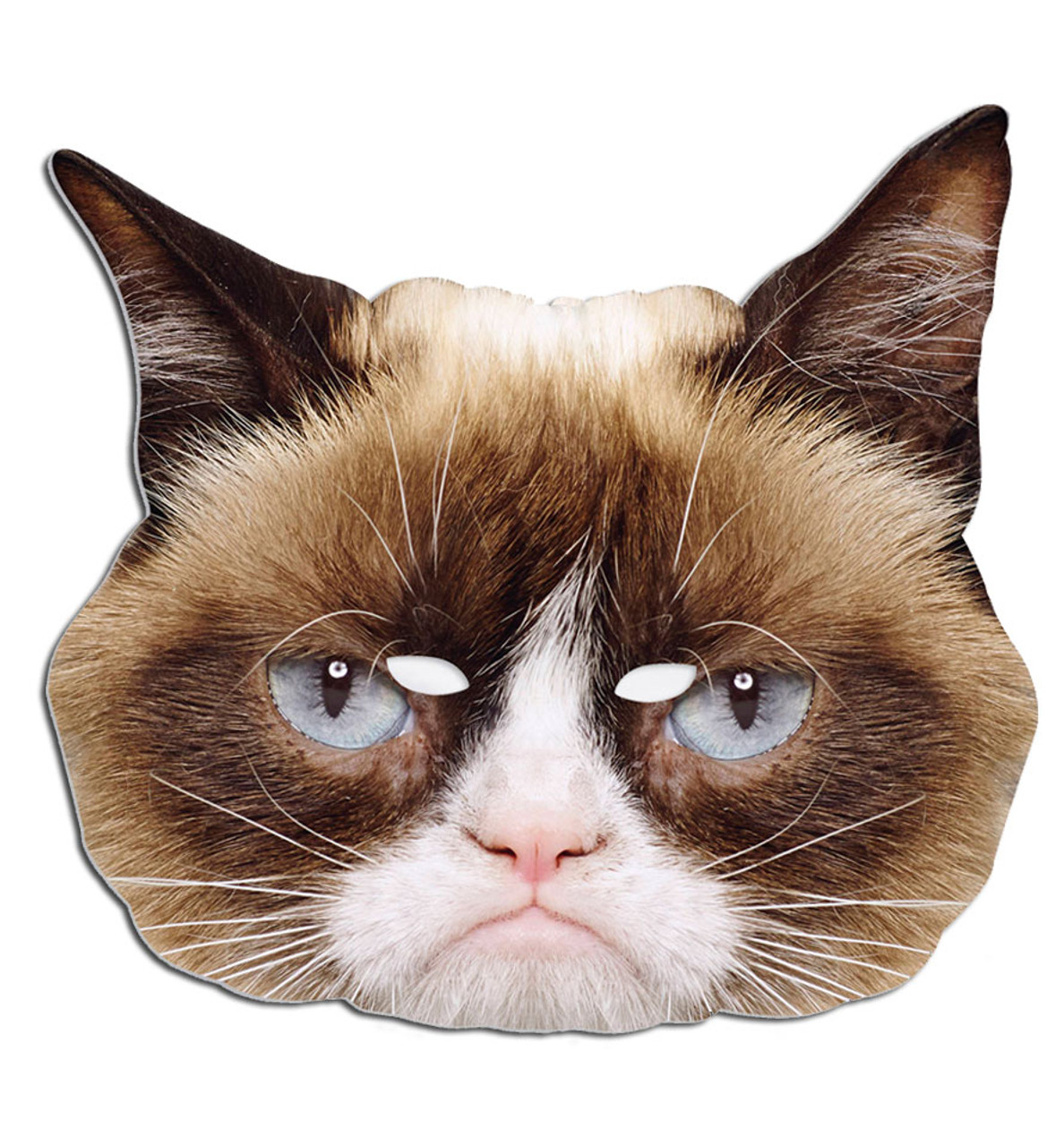 grumpy cat youre welcome