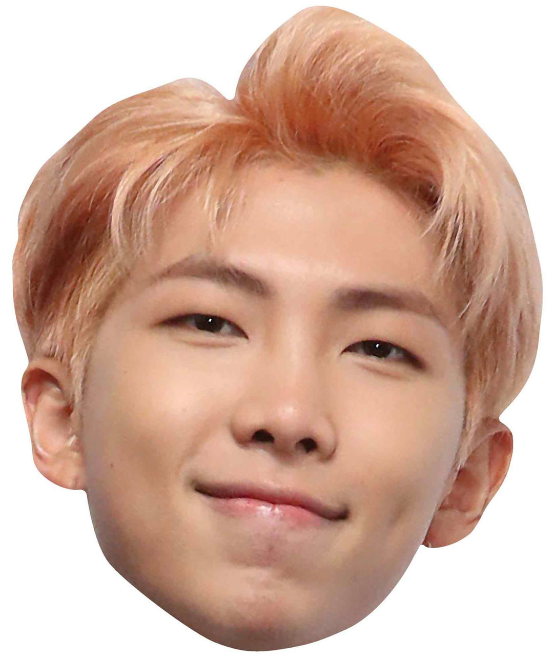 Bts Rm Face RM from BTS Bangtan Boys 2D Card Party Face Mask