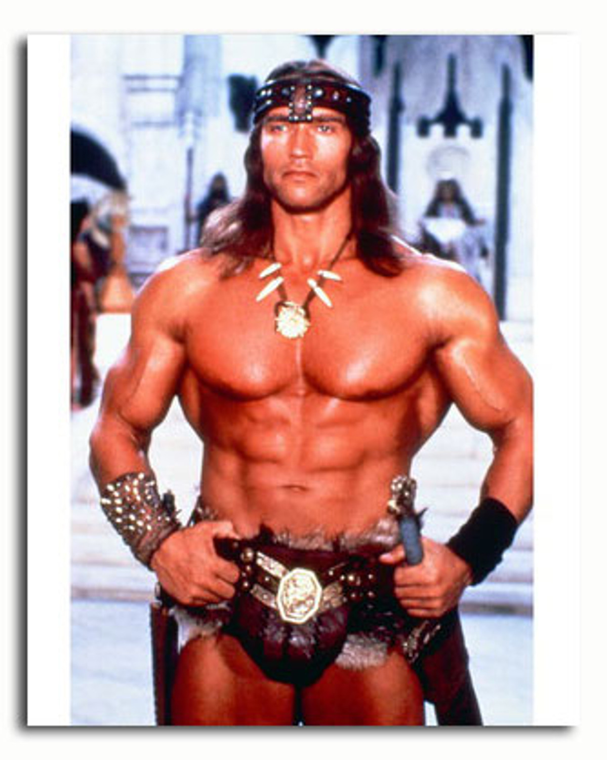 アーノルドシュワルツネッカー　大きい写真 アーノルドシュワルツネッカー 大きい写真 36,802点のアーノルド