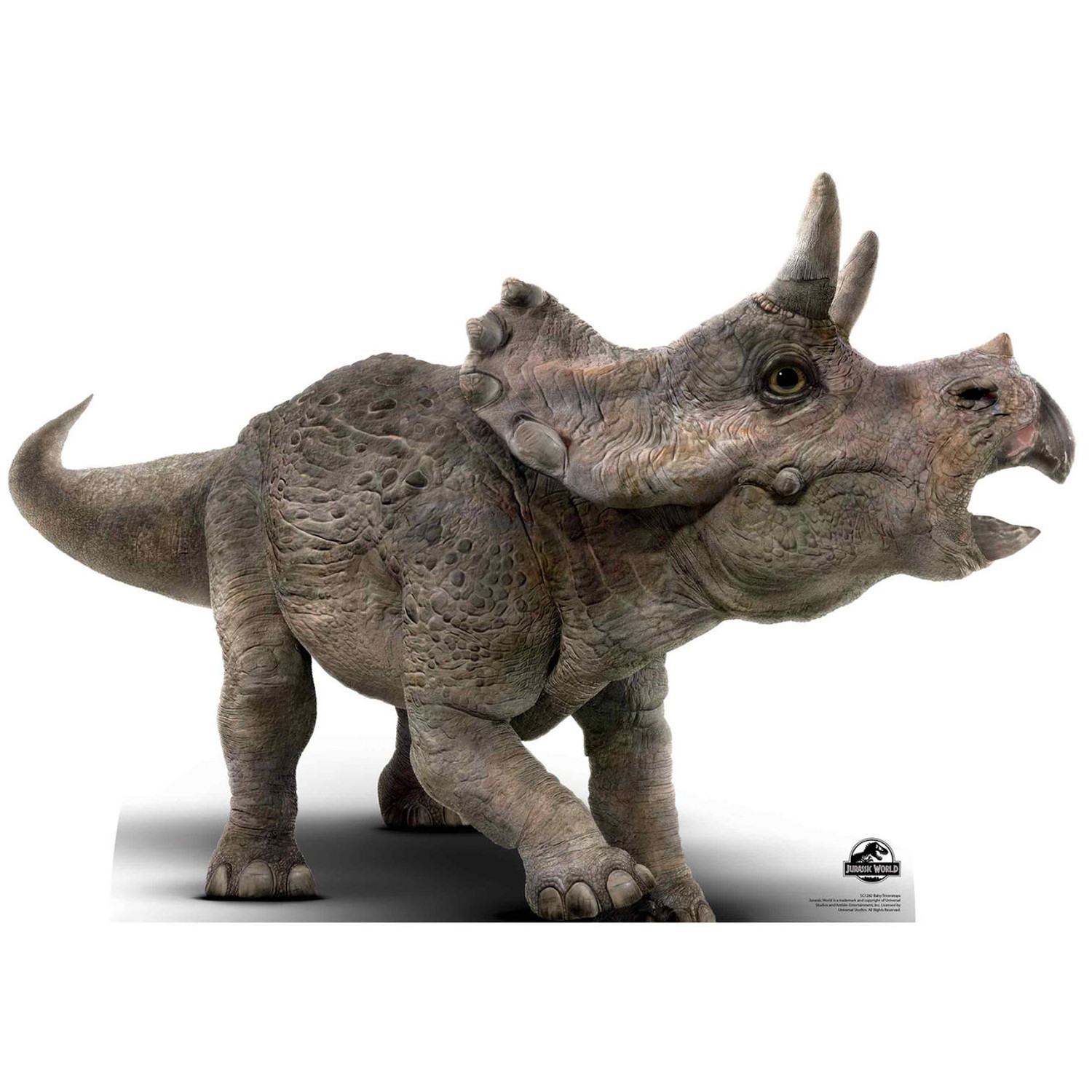 Bandai In Stock Plastic Skeleton Plannosaurus Triceratops Dinosaur Assembly  Action Figures Anime Model Kit - AliExpress