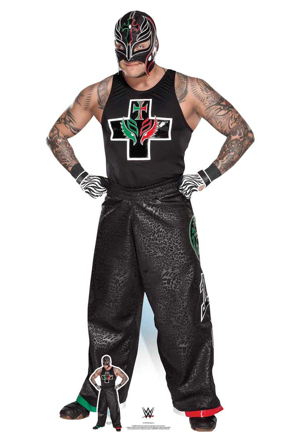 WWE レイ・ミステリオ Panini Impeccable 01/10（80erKind - The Rock 