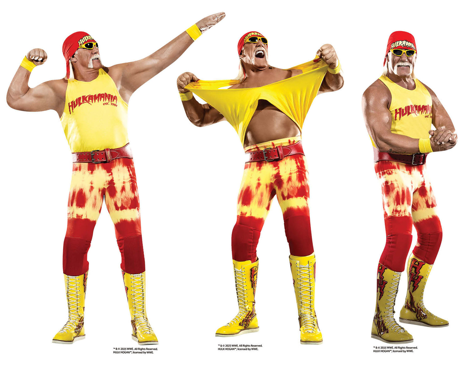激レア! ハルクホーガン ジミーハート ビーフケーキ 3体パック WWE WWF 激レア! ハルクホーガン ジミーハート ビーフケーキ 3体パック