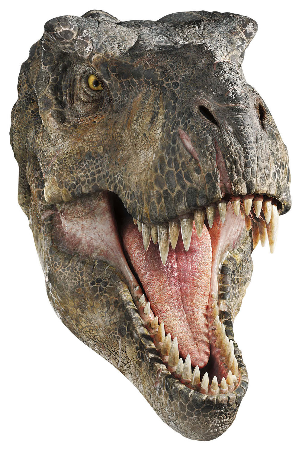 T-Rex Head Wall Mounted Cardboard Cutout Jurassic World Rebirth