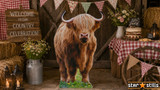 Bring the Animal Kingdom to Life with Our Cardboard Animal Cutouts