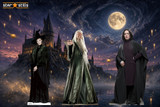 Celebrate 25 Years of Harry Potter Movie Magic with Harry Potter Cardboard Cutouts