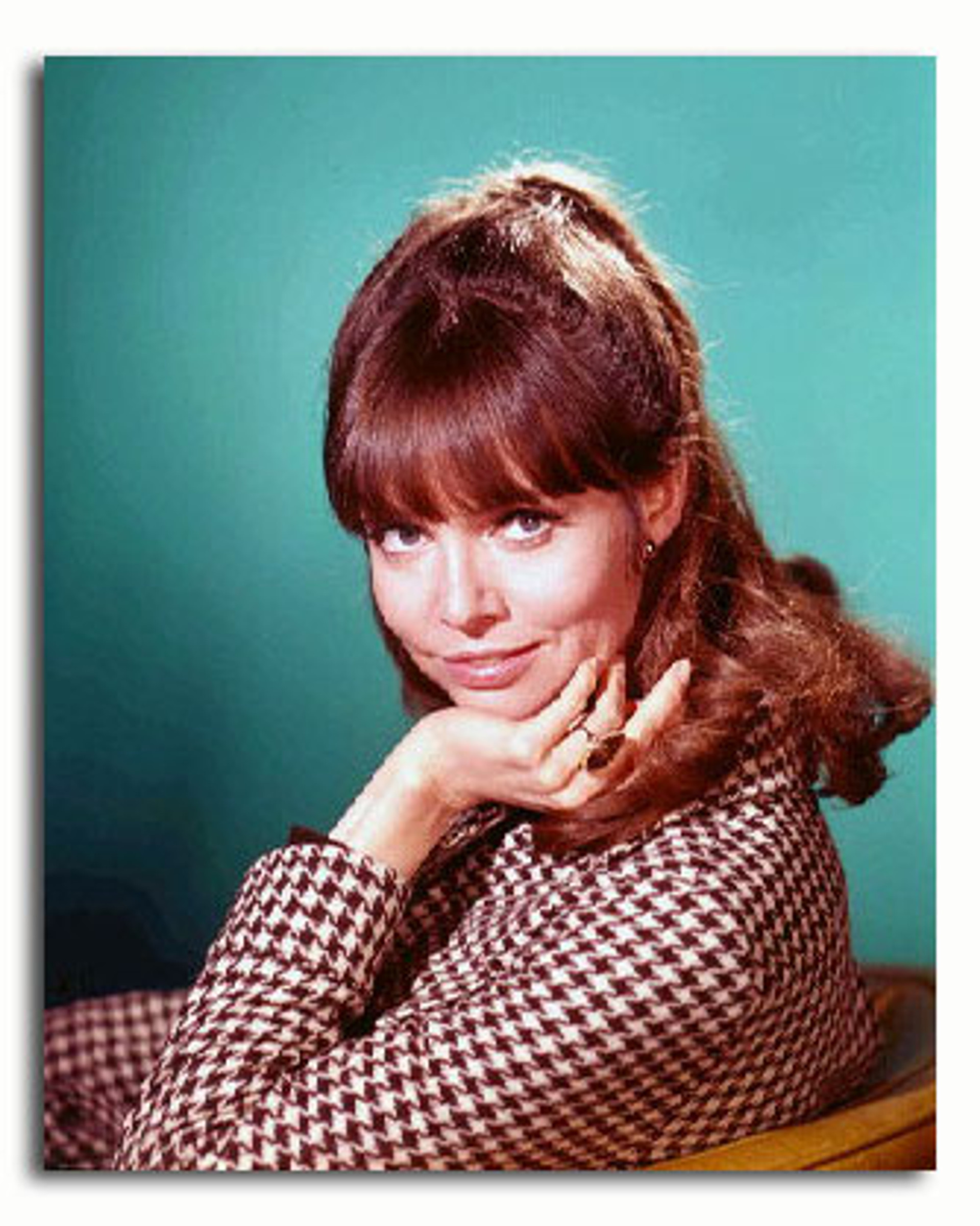 (SS3275116) Movie picture of Barbara Feldon buy celebrity photos and