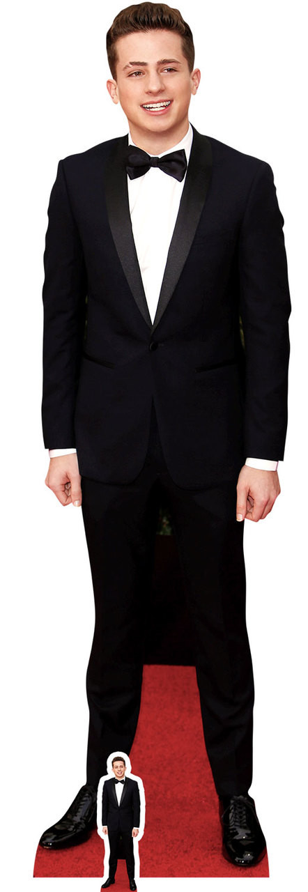 Ed Sheeran Lifesize Cardboard Cutout. Buy celebrity cutouts, standups