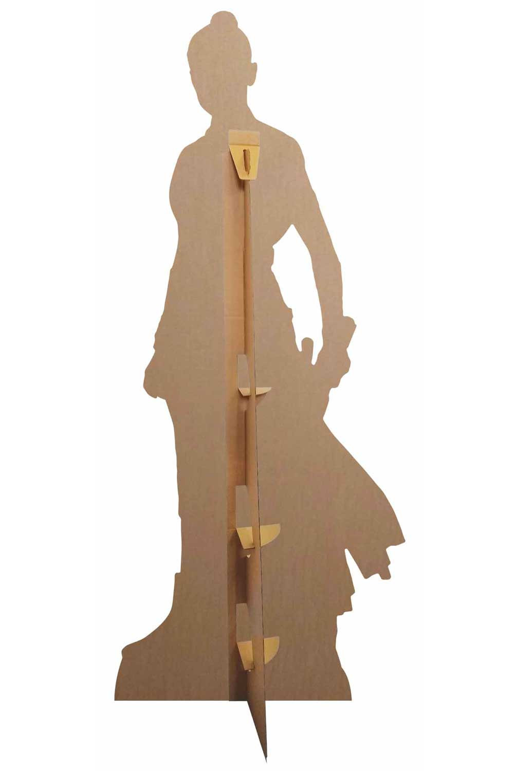 Star Wars Darth Vader and Stormtroopers Child Size Stand In Carboard Cutout