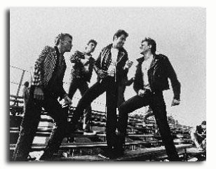 (SS222105) Movie picture of John Travolta buy celebrity photos and