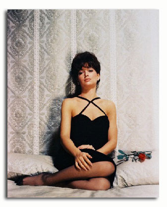 (SS386763) Movie picture of Suzanne Pleshette buy celebrity photos and