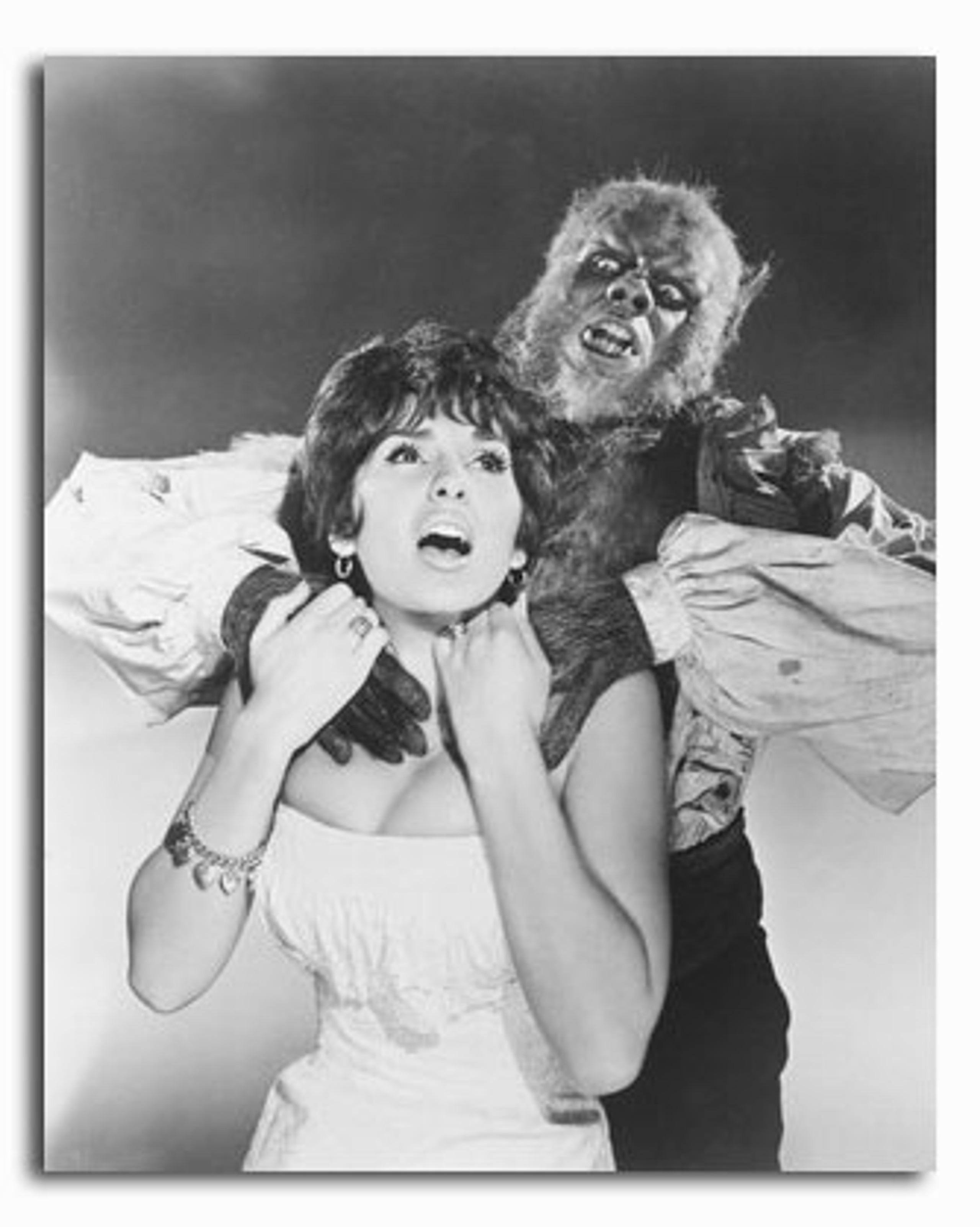  ss2238938 movie picture of the curse of the werewolf buy celebrity