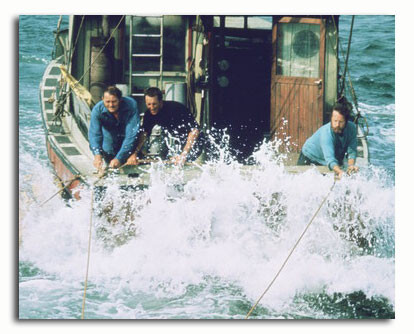 (SS3498508) Movie picture of Jaws buy celebrity photos and posters at