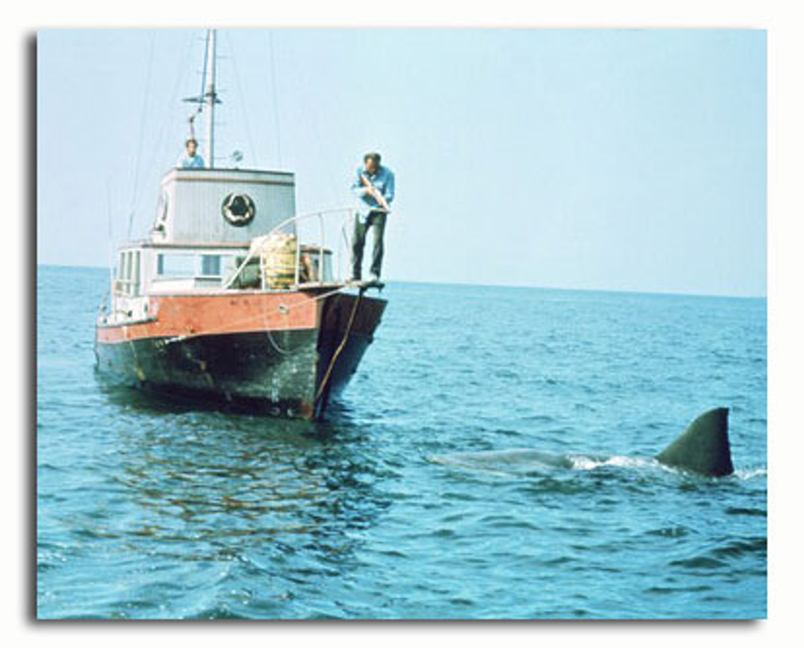 (SS2313350) Movie picture of Jaws buy celebrity photos and posters at