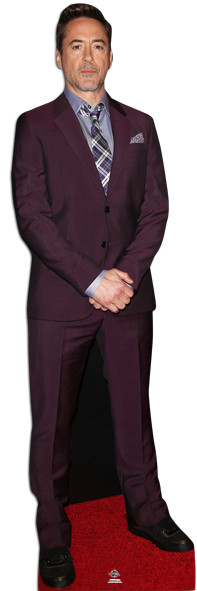 Découpe Carton Grandeur Nature Sebastian Stan - Standee Acteur Roumain, Neuf Sous Film, Produit UK, Parfait Fan Ou Décoration
