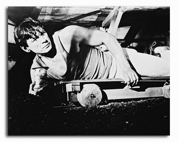 (SS185692) Charles Bronson The Great Escape Movie Photo (SS185692) Charles Bronson The Great Escape Movie Photo