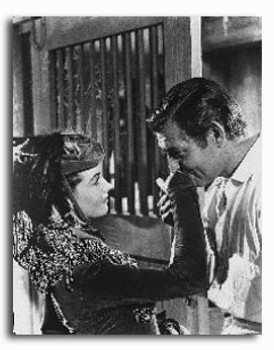 (SS251069) Cast Gone with the Wind Movie Photo (SS251069) Cast Gone with the Wind Movie Photo