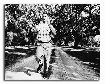 (SS2087267) Tom Hanks Forrest Gump Movie Photo (SS2087267) Tom Hanks Forrest Gump Movie Photo