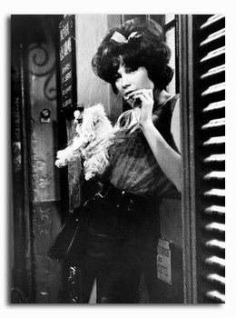 (SS2426606) Shirley MacLaine Irma la Douce Movie Photo (SS2426606) Shirley MacLaine Irma la Douce Movie Photo
