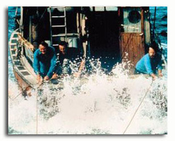 (SS2929420) Cast Jaws Movie Photo (SS2929420) Cast Jaws Movie Photo
