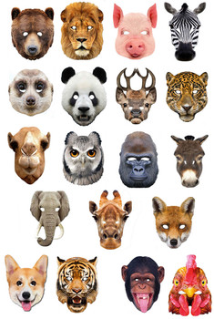 Set Of 19 Animal Party Masks Set Of 19 Animal Party Masks