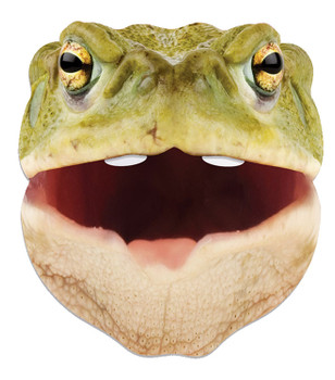 Toad Animal Single 2D Card Party Face Mask Toad Animal Single 2D Card Party Face Mask