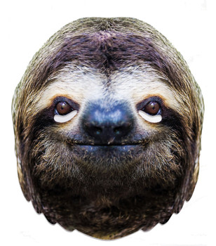Sloth Animal Single 2D Card Party Face Mask Sloth Animal Single 2D Card Party Face Mask