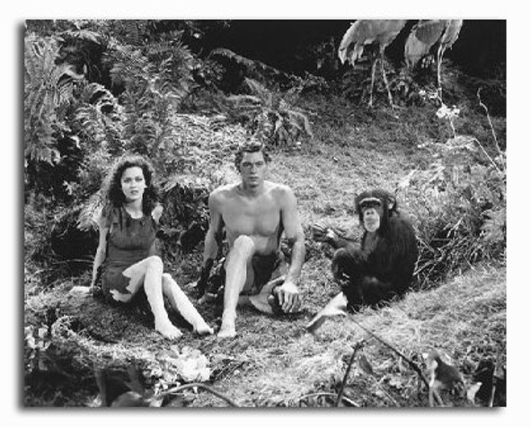 (SS2227407) Darsteller: Filmfoto „Tarzan und sein Kumpel“.