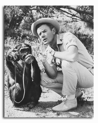 (SS2324231) Marshall Thompson  Daktari Movie Photo