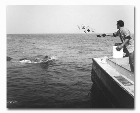 (SS2419053) Roy Scheider  Jaws Movie Photo