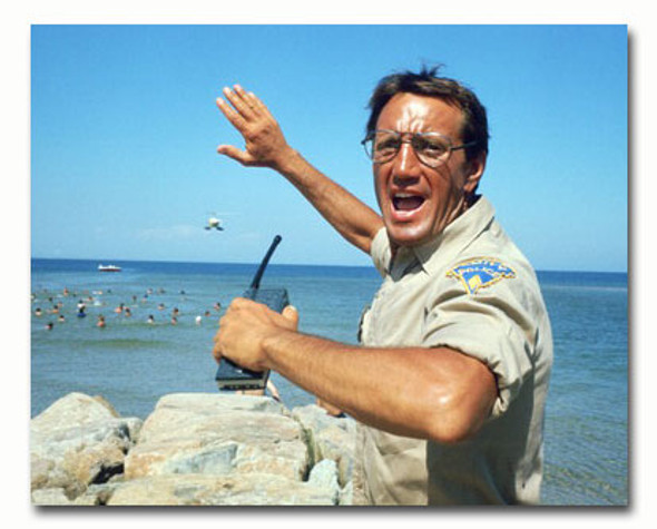 (ss3498586) photo de film de Roy Scheider Jaws