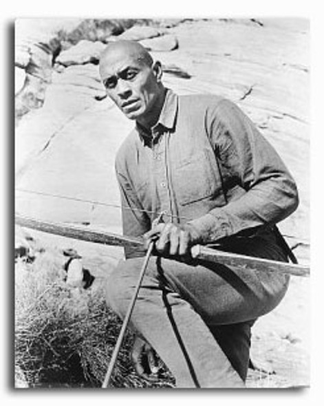 (SS2237703) Woody Strode  The Professionals Movie Photo