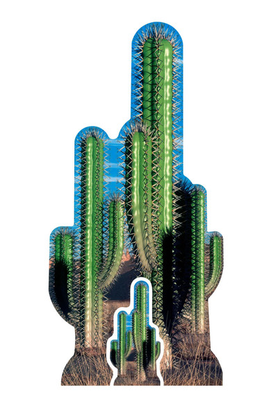 Cactus Group (Western Themed) - Lifesize Cardboard Cutout / Standee