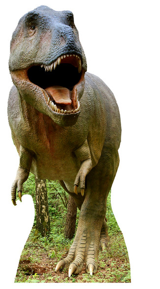Tyrannosaurus rex - découpe en carton grandeur nature / debout