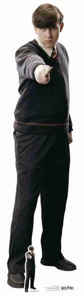 Slytherin Crest from Harry Potter Wall Mounted Official Cardboard Cutout - Buy standups & standees at